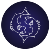 Picses_Sanjeev-Katoch-Astrologer