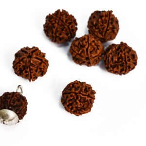 Rudraksha